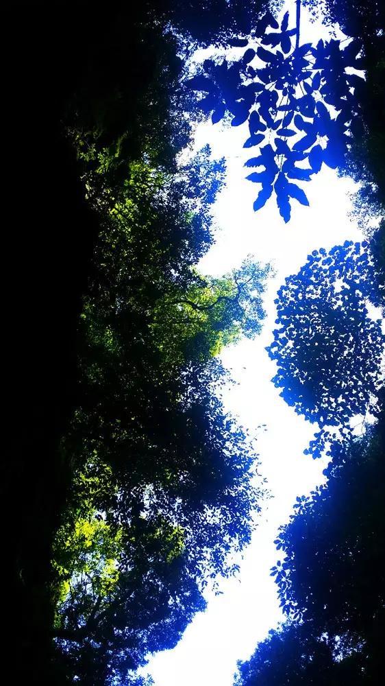 汪文斌在外交部官员当中是个怎样的存在?-在线问答交流平台